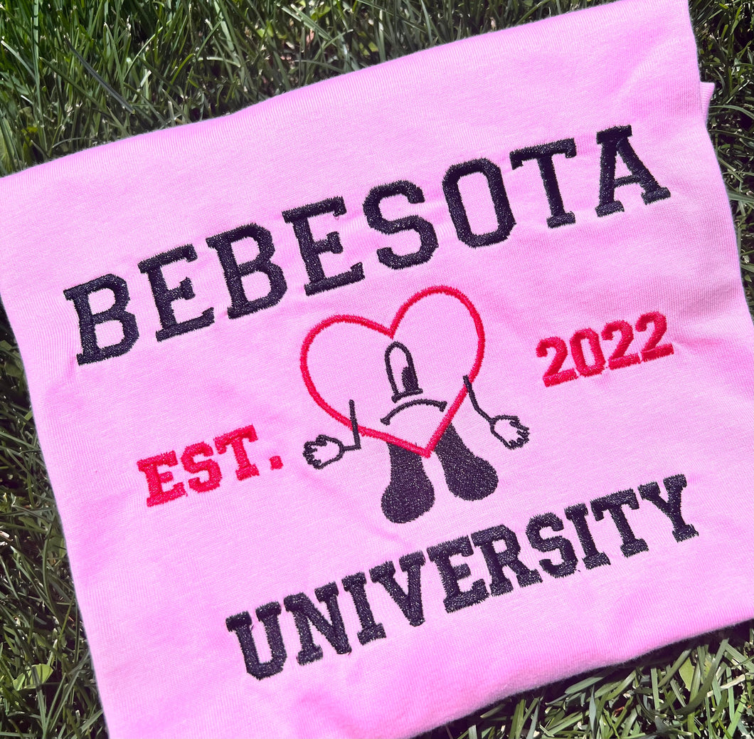 Bebesota University Embroidery T-shirt